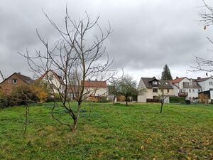 Blick auf den neu entstehenden Park gen Altenbaunaer Straße